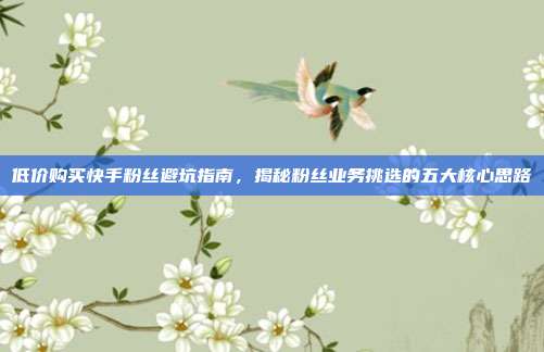 低价购买快手粉丝避坑指南,揭秘粉丝业务挑选的五大核心思路