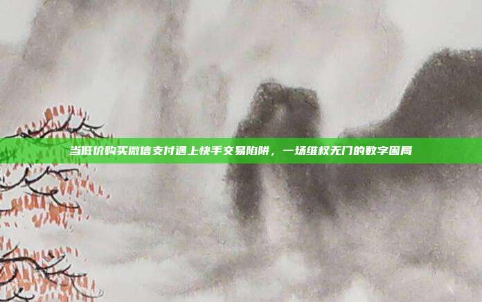 当低价购买微信支付遇上快手交易陷阱，一场维权无门的数字困局