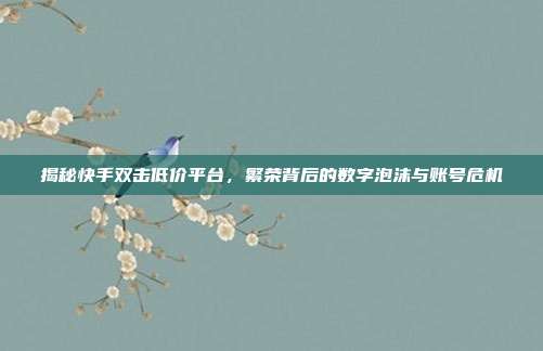 揭秘快手双击低价平台，繁荣背后的数字泡沫与账号危机