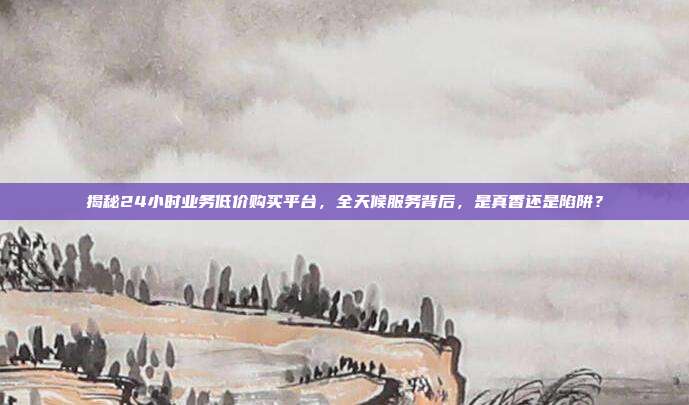 揭秘24小时业务低价购买平台,全天候服务背后,是真香还是陷阱?