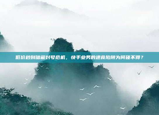 低价秒到暗藏封号危机,快手业务的速食陷阱为何碰不得?