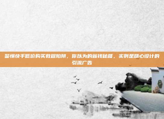 警惕快手低价购买教程陷阱,你以为的省钱秘籍,实则是精心设计的引流广告