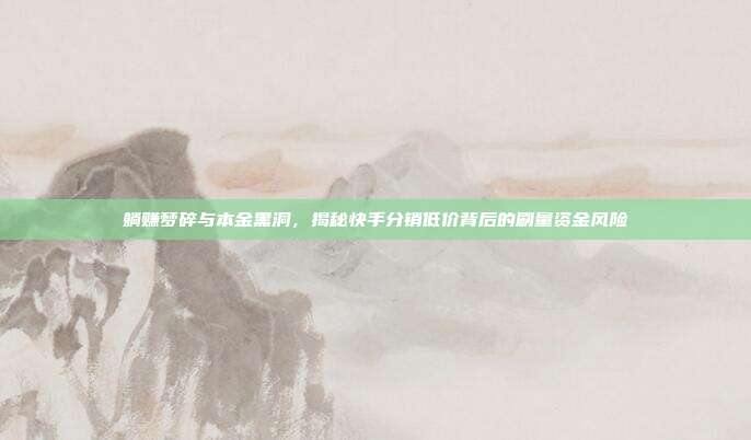 躺赚梦碎与本金黑洞,揭秘快手分销低价背后的刷量资金风险
