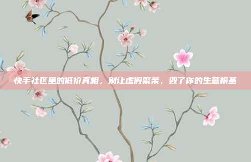 快手社区里的低价真相,别让虚假繁荣,毁了你的生意根基