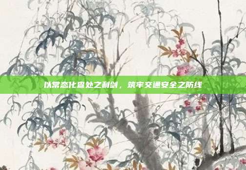 以常态化查处之利剑,筑牢交通安全之防线
