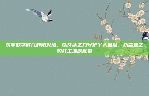 筑牢数字时代的防火墙,以持续之力守护个人信息,以雷霆之势打击泄露乱象