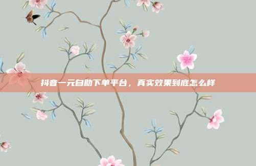 抖音一元自助下单平台，真实效果到底怎么样
