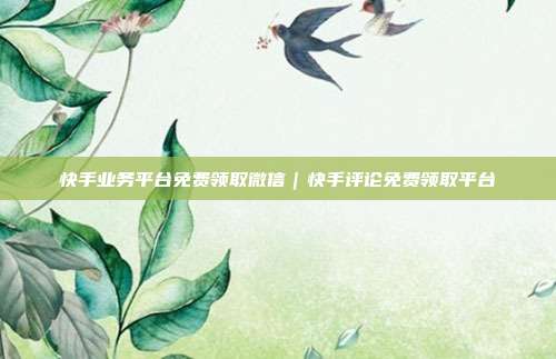 快手业务平台免费领取微信｜快手评论免费领取平台