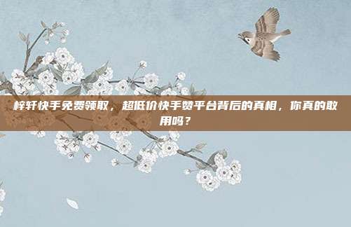 梓轩快手免费领取，超低价快手赞平台背后的真相，你真的敢用吗？