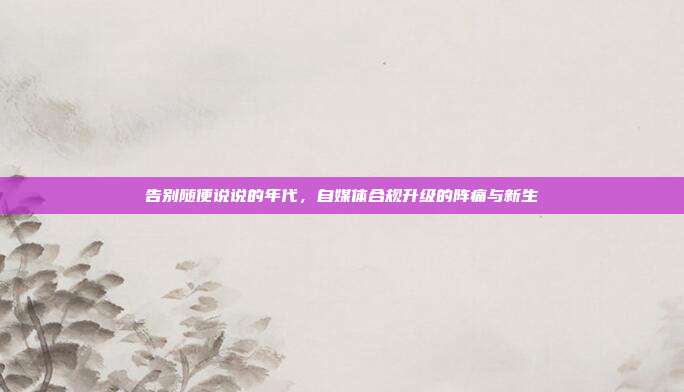 告别随便说说的年代,自媒体合规升级的阵痛与新生