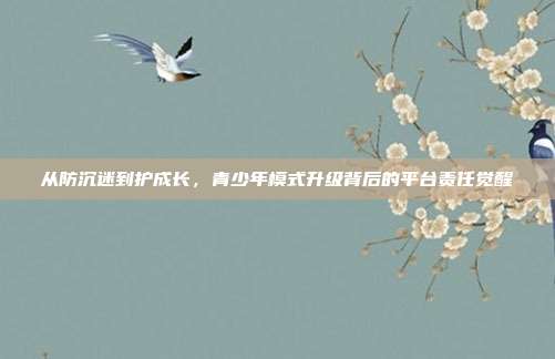 从防沉迷到护成长,青少年模式升级背后的平台责任觉醒