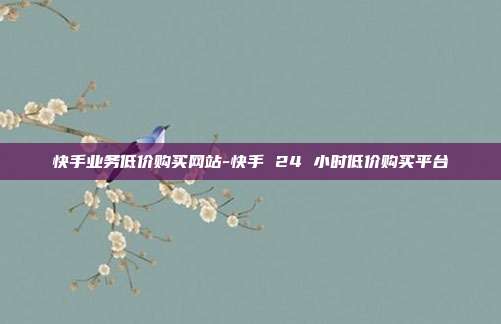 快手业务低价购买网站-快手 24 小时低价购买平台