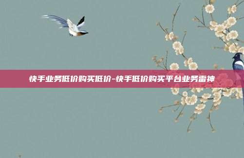 快手业务低价购买低价-快手低价购买平台业务雷神