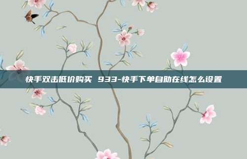 快手双击低价购买 933-快手下单自助在线怎么设置