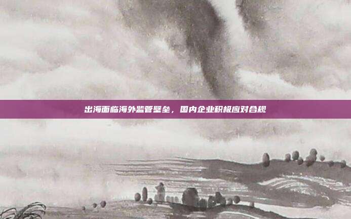 出海面临海外监管壁垒，国内企业积极应对合规