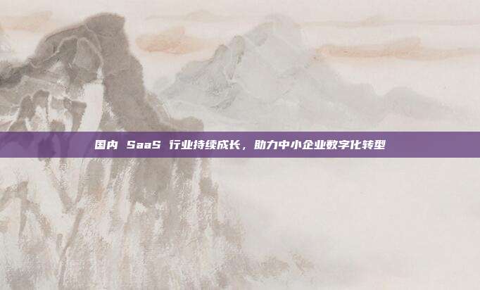 国内 SaaS 行业持续成长,助力中小企业数字化转型