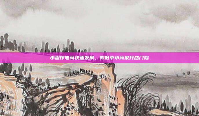 小程序电商快速发展，降低中小商家开店门槛