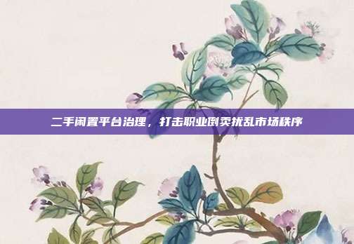 二手闲置平台治理，打击职业倒卖扰乱市场秩序