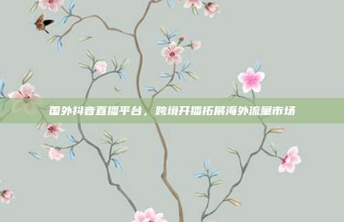 国外抖音直播平台，跨境开播拓展海外流量市场