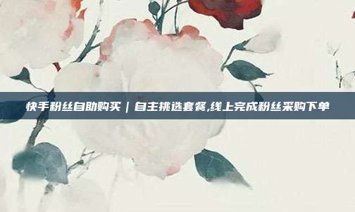 快手粉丝自助购买|自主挑选套餐,线上完成粉丝采购下单