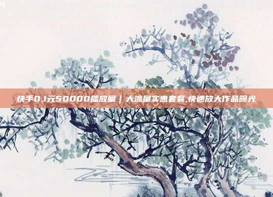 快手0.1元50000播放量｜大流量实惠套餐,快速放大作品曝光