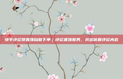 快手评论赞置顶自助下单|评论置顶服务,突出优质评论内容