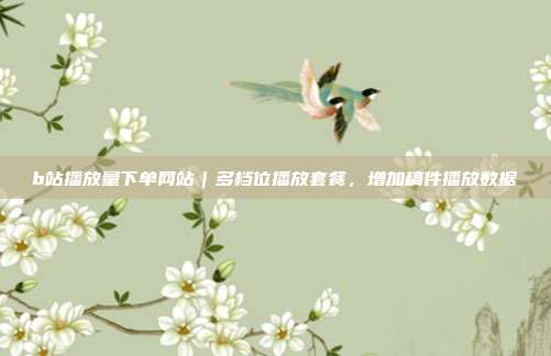 b站播放量下单网站｜多档位播放套餐，增加稿件播放数据