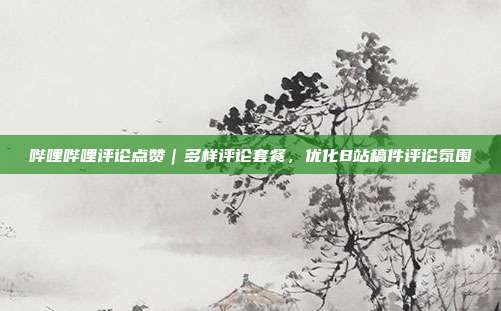 哔哩哔哩评论点赞|多样评论套餐,优化B站稿件评论氛围