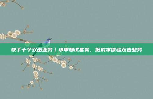 快手十个双击业务｜小单测试套餐，低成本体验双击业务
