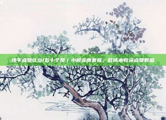 快手点赞0.01五十个赞｜小额实惠套餐，低成本收获点赞数据