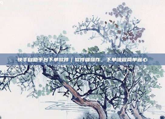 快手自助平台下单软件｜软件端操作，下单流程简单省心