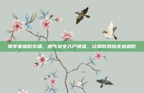 筑牢家庭防火墙，燃气安全入户排查，让隐形风险无处遁形