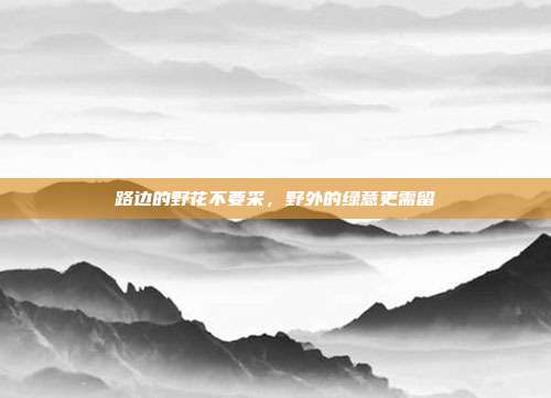 路边的野花不要采，野外的绿意更需留