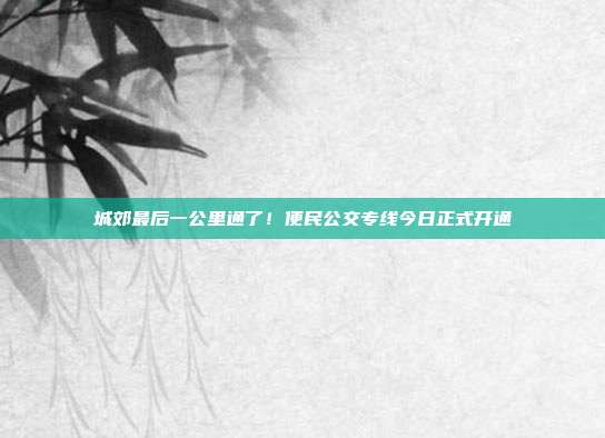 城郊最后一公里通了！便民公交专线今日正式开通