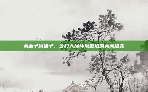 从面子到里子,乡村人居环境整治的美丽嬗变