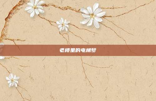 老楼里的电梯梦