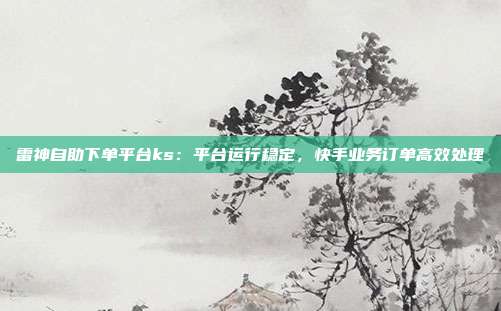 雷神自助下单平台ks:平台运行稳定,快手业务订单高效处理