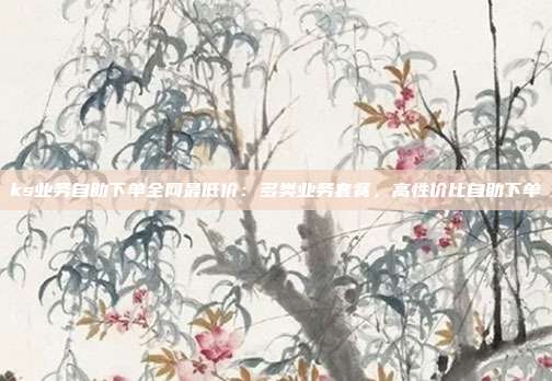 ks业务自助下单全网最低价：多类业务套餐，高性价比自助下单