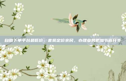 自助下单平台最低价：套餐定价亲民，办理业务更加节省开支