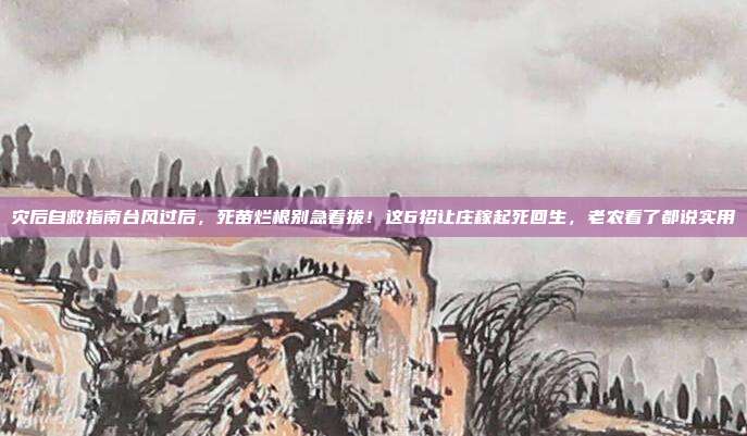 灾后自救指南台风过后，死苗烂根别急着拔！这6招让庄稼起死回生，老农看了都说实用