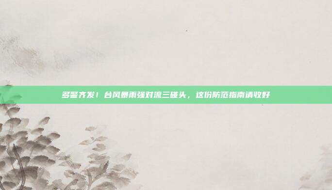 多警齐发!台风暴雨强对流三碰头,这份防范指南请收好