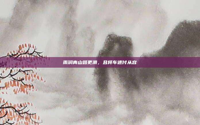 雨润青山路更滑,且将车速付从容