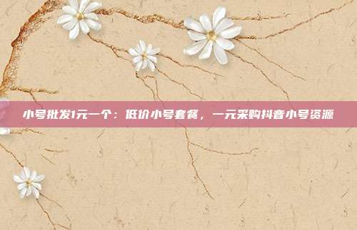小号批发1元一个：低价小号套餐，一元采购抖音小号资源