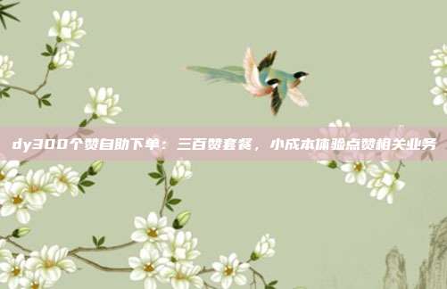 dy300个赞自助下单:三百赞套餐,小成本体验点赞相关业务