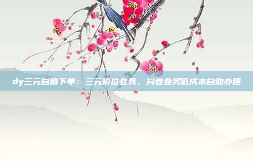 dy三元自助下单：三元价位套餐，抖音业务低成本自助办理
