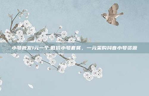 小号批发1元一个:低价小号套餐，一元采购抖音小号资源