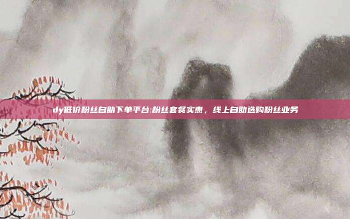 dy低价粉丝自助下单平台:粉丝套餐实惠，线上自助选购粉丝业务