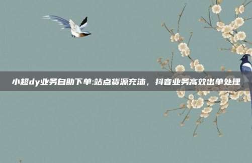 小超dy业务自助下单:站点货源充沛,抖音业务高效出单处理