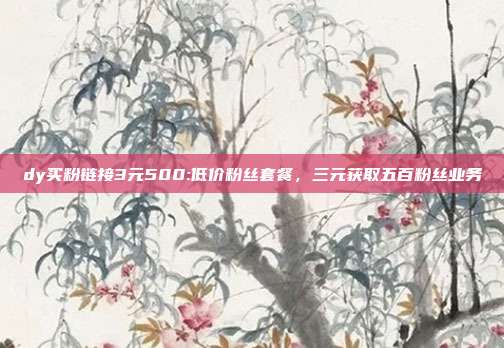 dy买粉链接3元500:低价粉丝套餐，三元获取五百粉丝业务