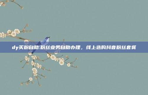 dy买粉自助:粉丝业务自助办理,线上选购抖音粉丝套餐